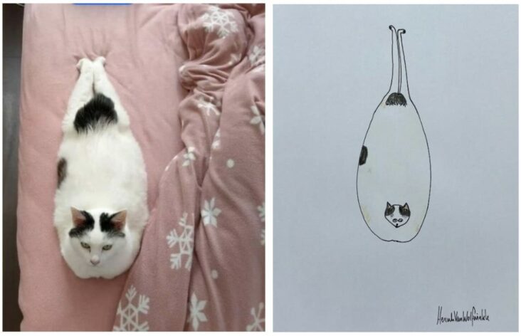 40 Terrible Drawings Of Beloved Animals From 
