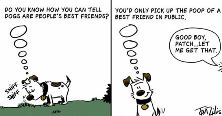 40 Times Absurd Humor Was Nailed In These Funny Comics By