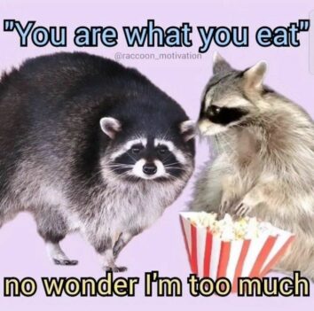 40 Filthy Raccoon Memes To Enjoy While You Stay Up All Night Eating Trash