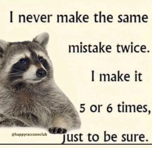 40 Filthy Raccoon Memes To Enjoy While You Stay Up All Night Eating Trash