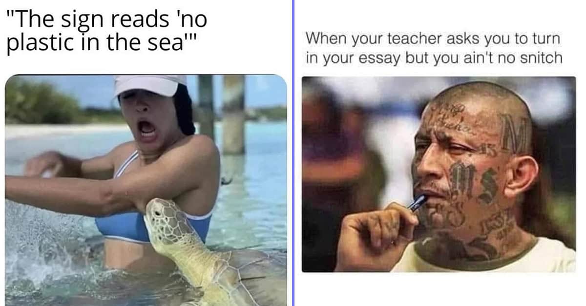 40 Funniest Memes That Sparked Joy Today (November 14, 2024)