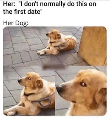 50 Funny Dog Memes For When You Need A Mood Boost