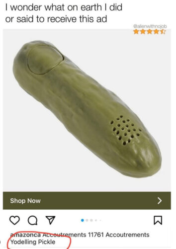 35 Funny Pickle Memes To Get You In A Briny Good Mood