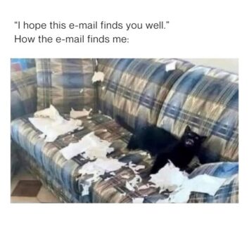 50 Funny Cat Memes That Confirm Cats Are The Funniest Little Menaces ...