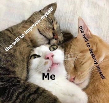 50 Funny Cat Memes That Confirm Cats Are The Funniest Little Menaces ...