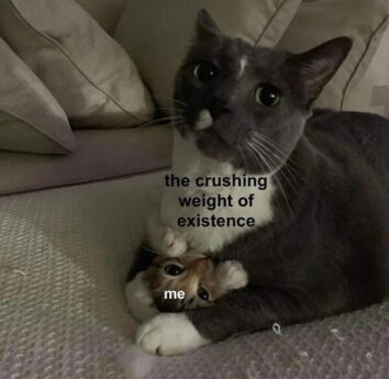 50 Funny Cat Memes That Confirm Cats Are The Funniest Little Menaces ...