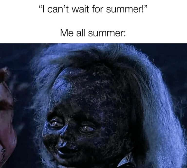 20 Summer Memes To Warm The Hearts Of People Snowed In and Over It