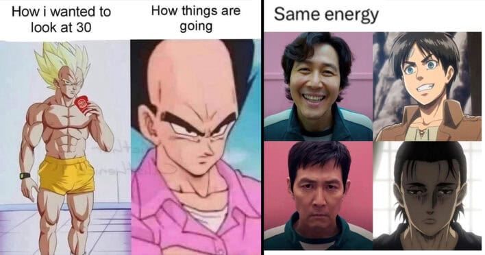 40 Hilarious Anime Memes That Would Even Make Vegeta Crack A Smile ...