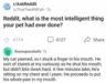 Random Reddit Posts 40 Funniest And Wildest Reddit Posts We Found In The Depths This Month ...