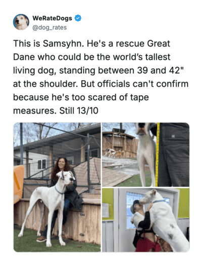 Dogs R Rated 35 Of The Goodest Dogs Rated By