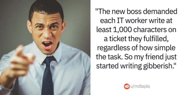 IT Boss Wanted Longer Ticket Comments, So This Engineer Hilariously Complied