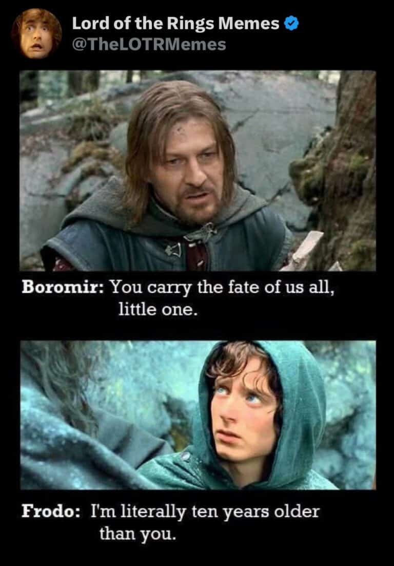 "Mordor Monday" — 35 Funniest Lord Of The Rings Memes Of The Week ...