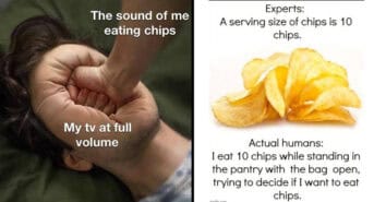 32 Funny Potato Chip Memes As Addictive As The Real Thing