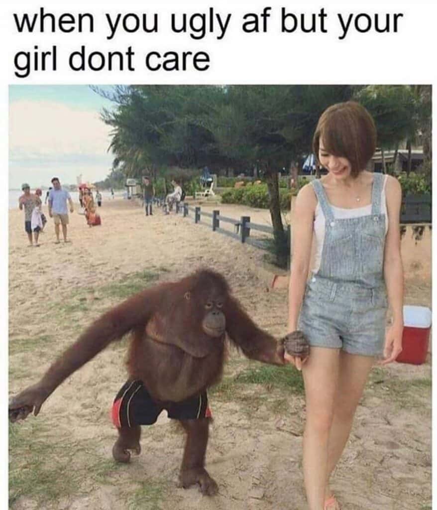 40 Funny And Random Memes From The