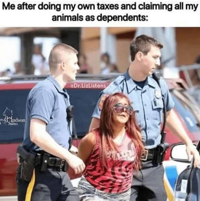 Tax Math Meme 40+ Funniest Tax Memes For Workers Still Putting Off Doing Their Taxes ...