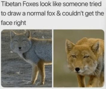 30 Funny And Relatable Drawing Memes That Really Illustrate The ...