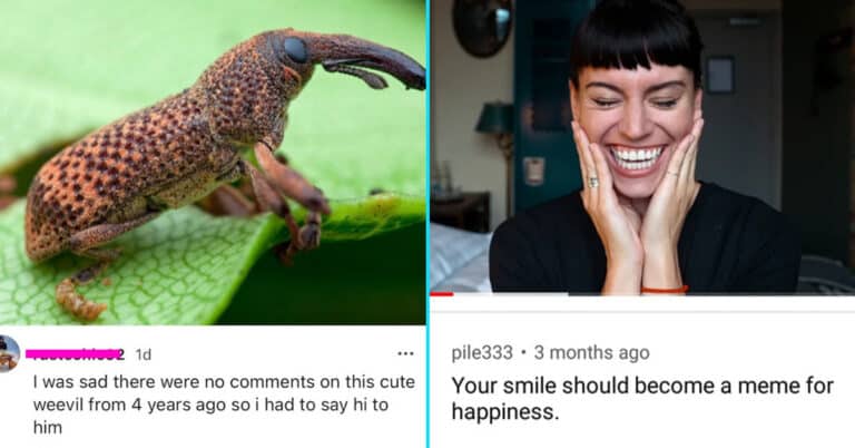 40 Wholesome Comments That Made The Internet A Better Place