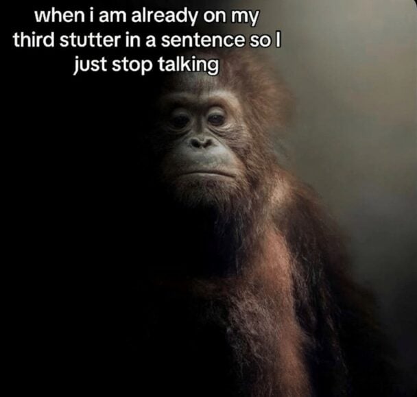 50 Funny Gorilla And Ape Memes To Go Bananas Over
