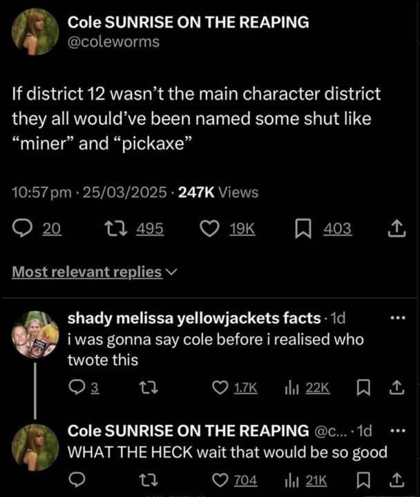 42 Hilarious Hunger Games Memes That Have Offered Themselves Up As Tribute