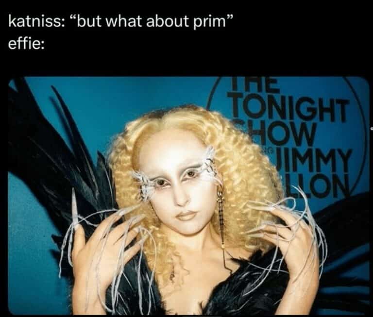 42 Hilarious Hunger Games Memes That Have Offered Themselves Up As Tribute