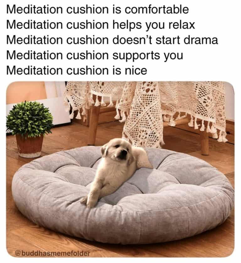 40 Funny Meditation Memes For Brave Folks Trying To Quiet Their Minds