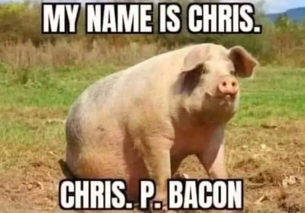 30 Funny Pig Memes That Are Bacon Us Laugh