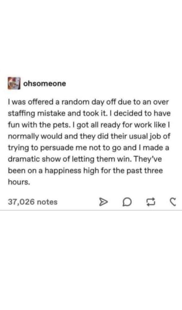 25 Amazing Posts That Were Pure Digital Kindness Today (May 7, 2025)