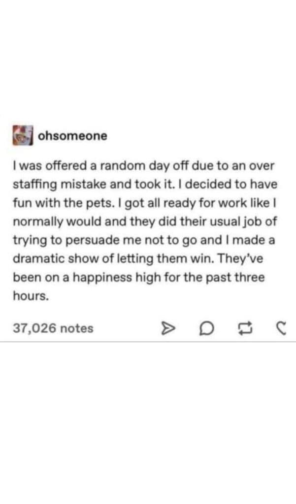 25 Amazing Posts That Were Pure Digital Kindness Today (May 7, 2025)