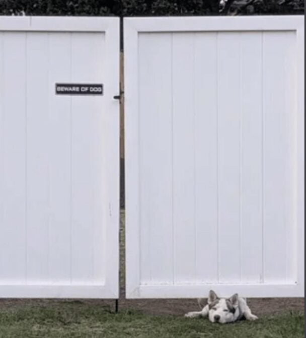 Flawed Design Examples 43 Design Fails That Made Us Laugh And Question Reality And The ...
