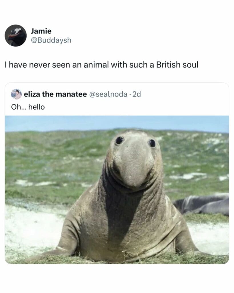30 Funny British Memes That’ll Make You Laugh In A Very Polite ...