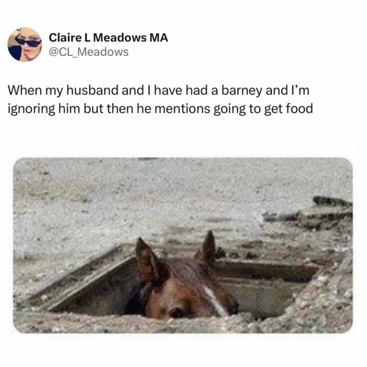 30 Funny British Memes That’ll Make You Laugh In A Very Polite ...