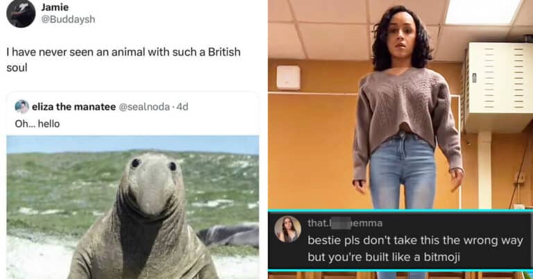 35 Funny Comments That Won The Internet This Month (May 2025)