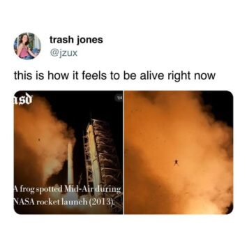 40 Funny Tweets From Women That Made Us Laugh This Week (May 11, 2025)