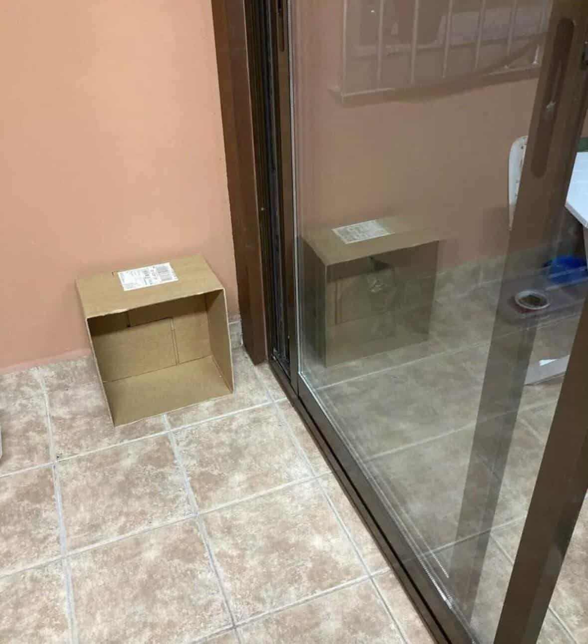 A bathroom with a toilet and a shower.