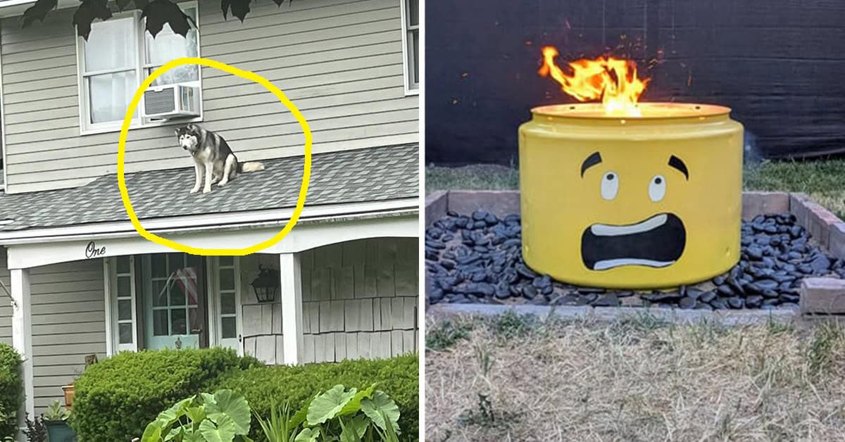 35 Funny Pictures From Reddit This Week Guaranteed To Make You Laugh At Least Once (June 18, 2025)