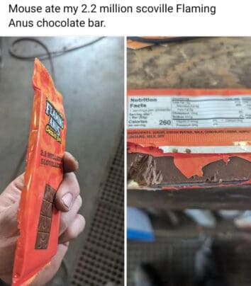 40 Funny And/Or Random Pictures That Made Our Sunday Scroll Worth It ...