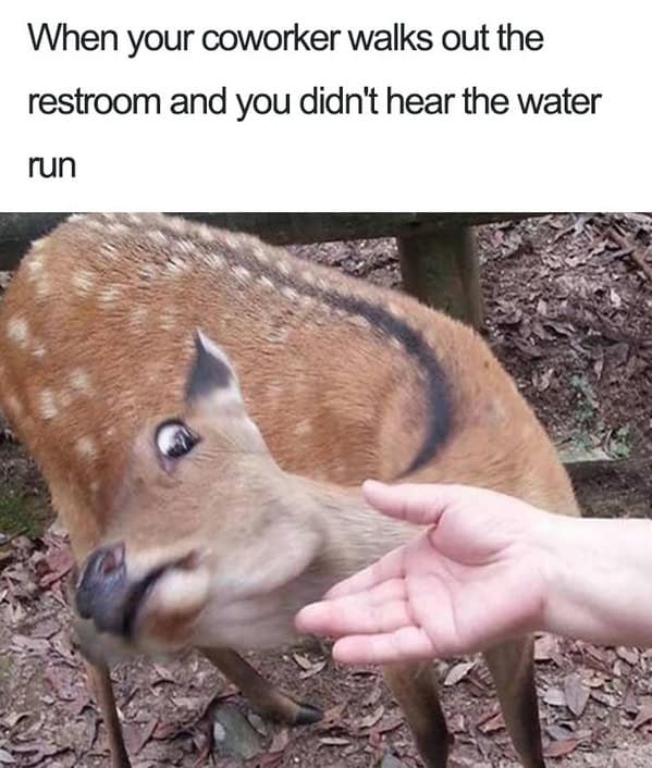 A deer is standing next to a person and the caption reads when your coworker walks out.