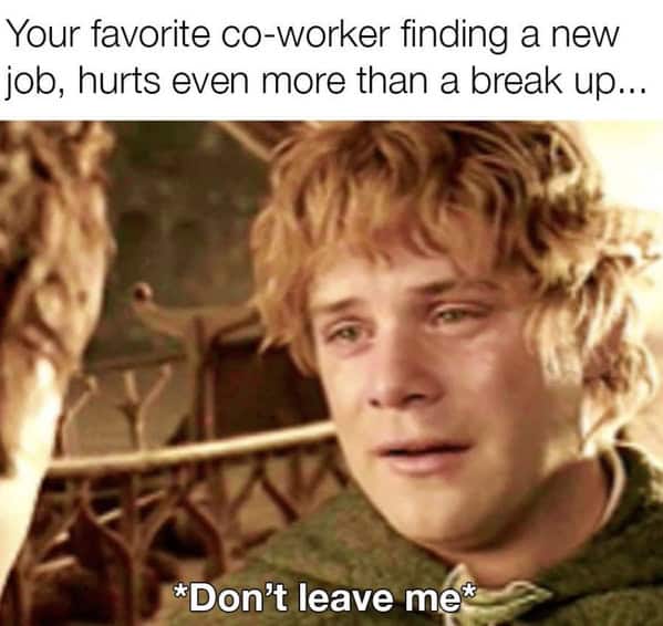 Your favorite co-worker finding a new job hurts more than a break up don't leave.