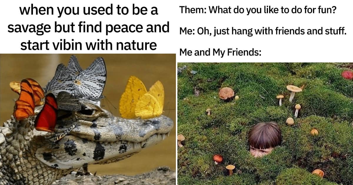 40 Funny Nature Memes For People Who Love The Outdoors