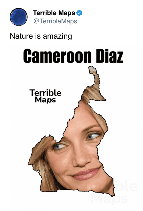 Creative collage of actress Cameron Diaz's face with a Cameroon map outline.