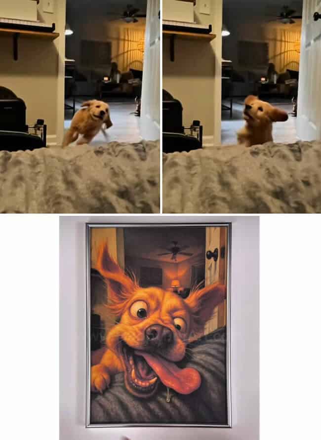 Fail Cartoon Images Artist Reimagines Viral Animal Fails As Caricatures On His Instagram ...