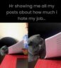 35 Funny Work Memes That Understand Employee Burnout On A Spiritual Level
