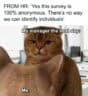 35 Funny Work Memes That Understand Employee Burnout On A Spiritual Level