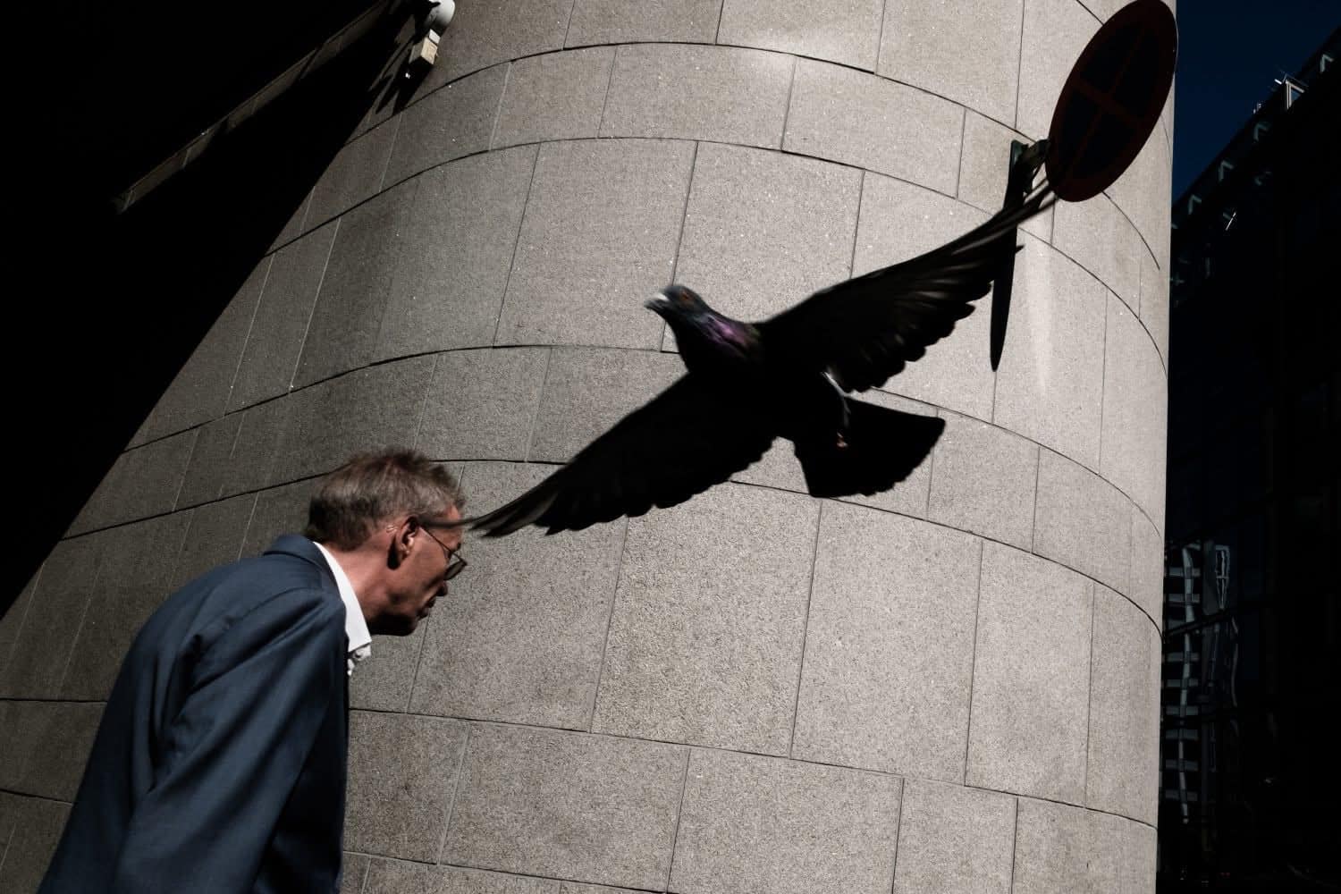 Man looking at a large bird sculpture mounted on a building wall.