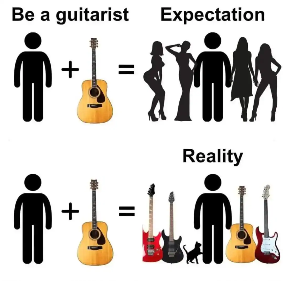 Expectation vs reality of being a guitarist with humorous guitar and crowd images.