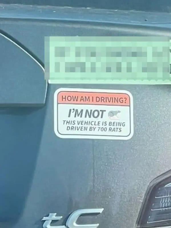 thumbnail image 2 of Funny Bumper Sticker Decal – 'THIS VEHICLE IS DRIVEN BY RATS' 2 of 2