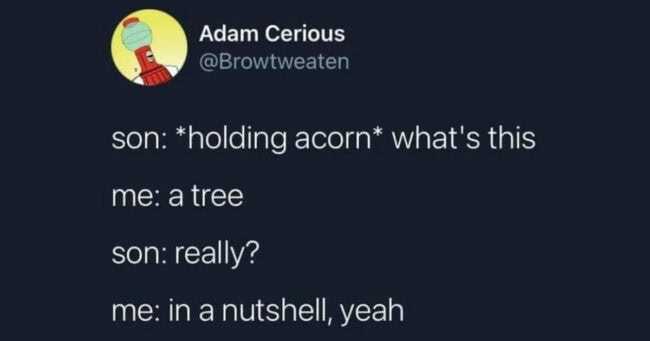 30 'Technically Correct' Jokes From Clever People Who Got To Be Funny ...