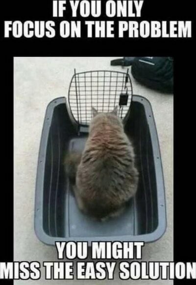 35 Purr-Fectly Funny Cat Memes Of The Day (November 12, 2025)