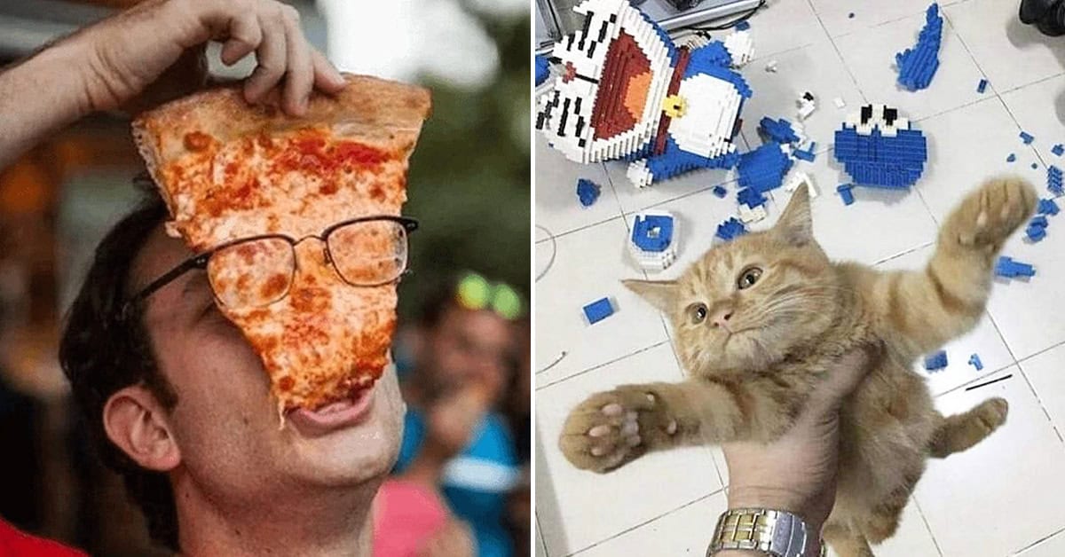 30 Funny Pictures That’ll Brighten Your Mood (November 4, 2025)