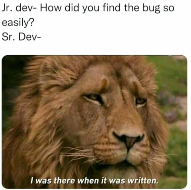 35 Funny Programmer Memes For Coding Dorks Who Developed A Sense Of Humor
